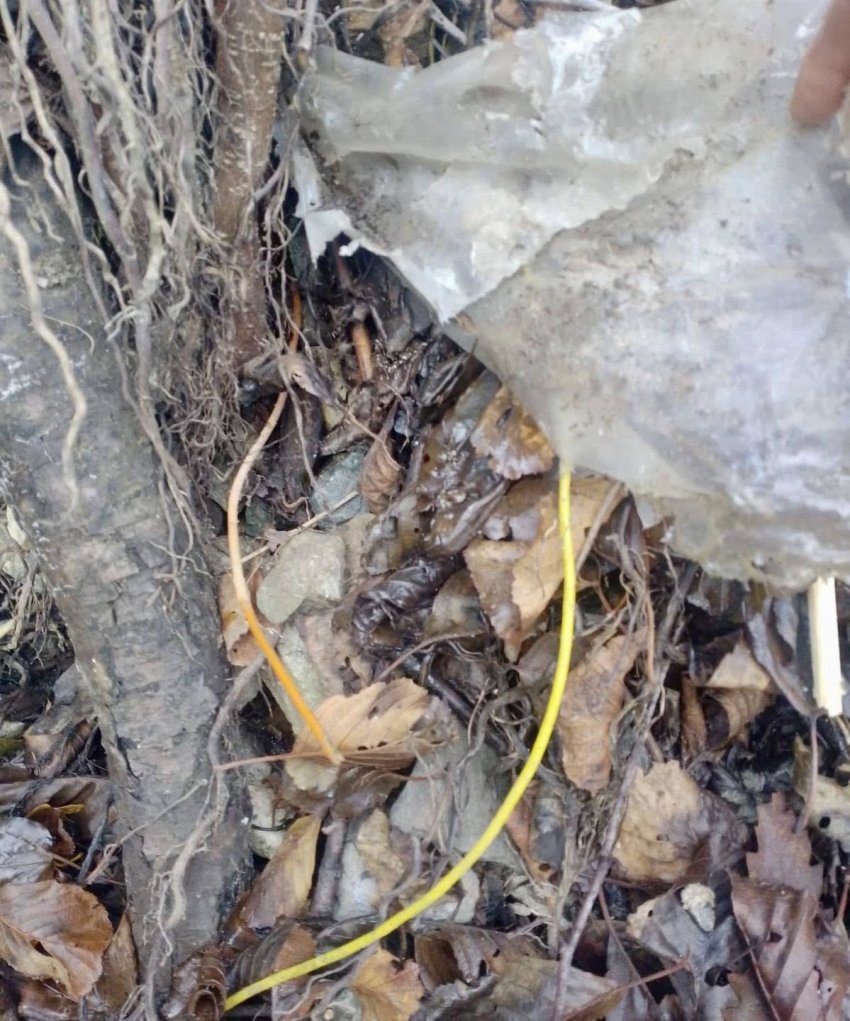 Detonatorët në Leposaviq ndezin alarmin  Ekspertët paralajmërojnë skenarë destabilizues në veri të Kosovës