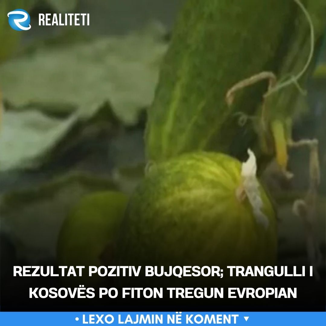 rezultat-pozitiv-bujqesor-trangulli-i-kosoves-po-fiton-tregun-evropian