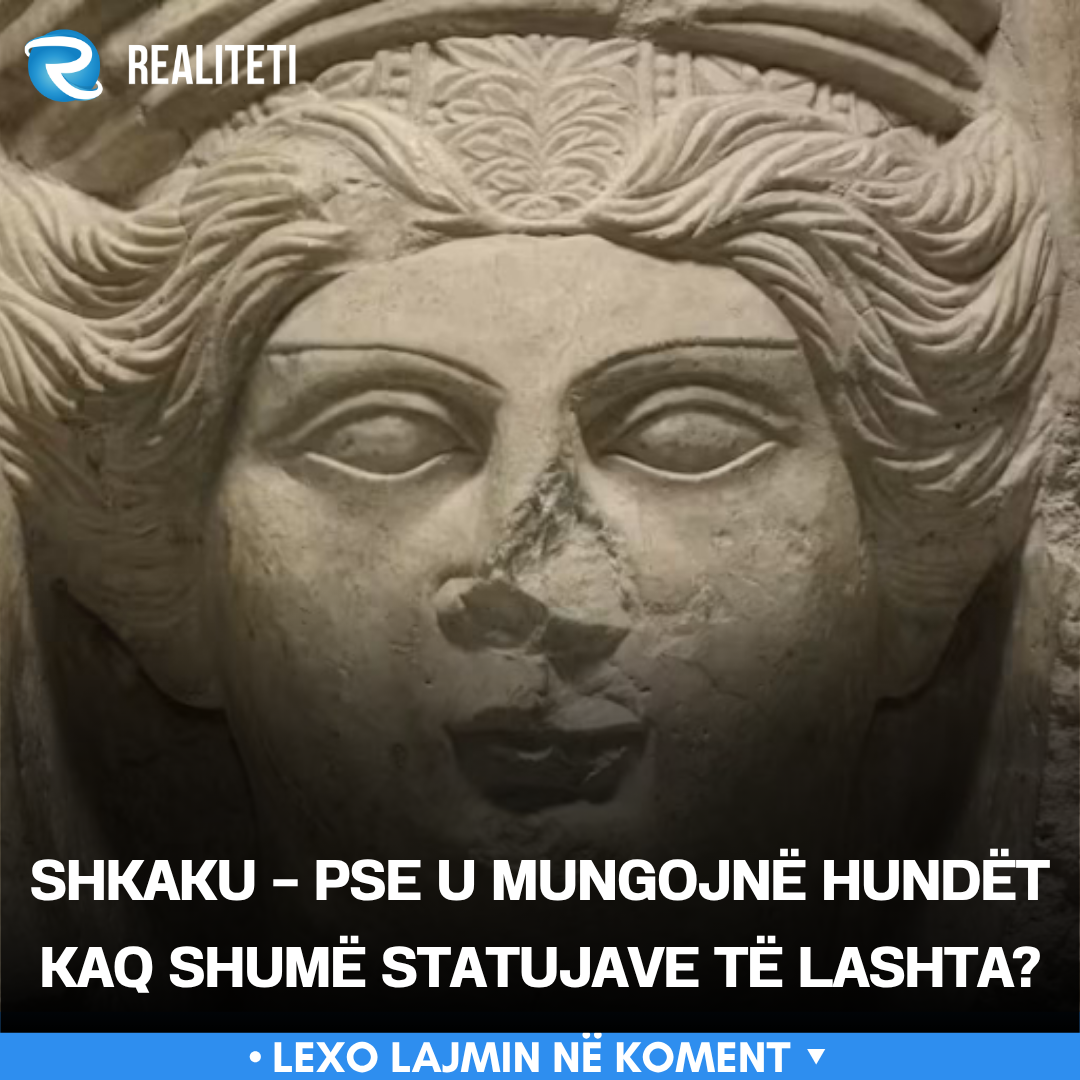 Shkaku   Pse u mungojnë hundët kaq shumë statujave të lashta 