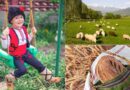 Në Bullgari është e hapur shkolla e parë për barinjë, interesi është i madh, të rriturit dhe fëmijët tashmë janë regjistruar