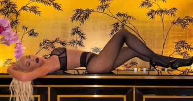 Christina Aguilera mahnit me një paraqitje sensuale në të brendshme transparente