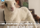 Familja blen qengj dhe e merr në shtëpi me kërkesë të djalit autik