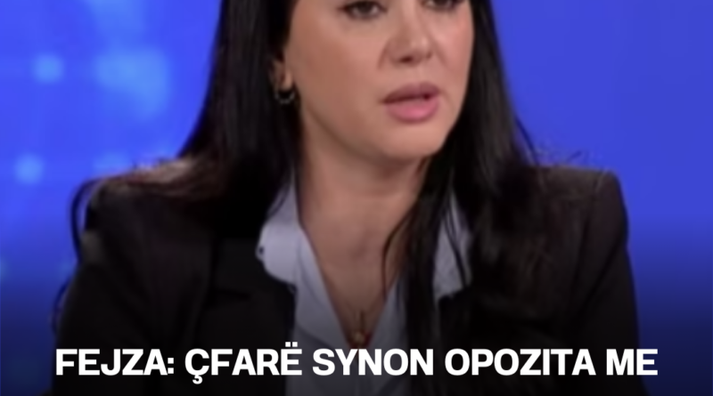 Fejza: Çfarë synon opozita me zgjedhje? 80 deputetë janë të pamundur – nuk i synojmë as ne