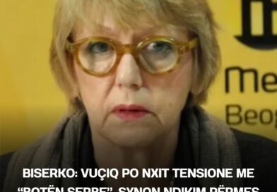 Biserko: Vuçiq po nxit tensione me “botën serbe”, synon ndikim përmes destabilizimit të rajonit