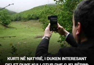 Kurti në natyrë, i duken interesant delet duke kullotur dhe gjelbërimi: Kjo është situatë ilire