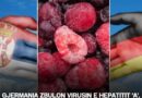 Gjermania zbulon virusin e hepatitit ‘A’, në frutat e ngrira nga Serbia