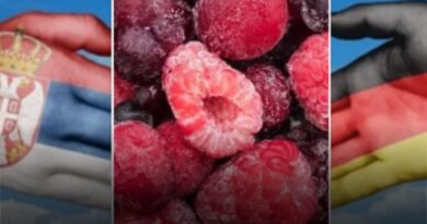 Gjermania zbulon virusin e hepatitit ‘A’, në frutat e ngrira nga Serbia