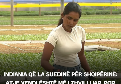 Indiania që la Suedinë për Shqipërinë: Atje vendi është më i zhvilluar, por njerëzit janë shumë të ashpër