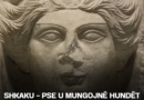 Shkaku – Pse u mungojnë hundët kaq shumë statujave të lashta?