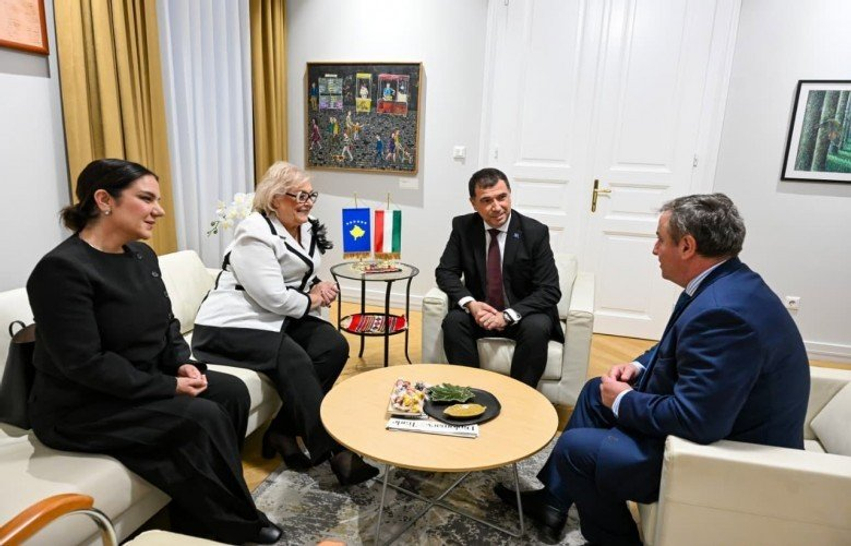 Shiroka Pula thekson rëndësinë e koordinimit diplomatik Kosovë Shqipëri