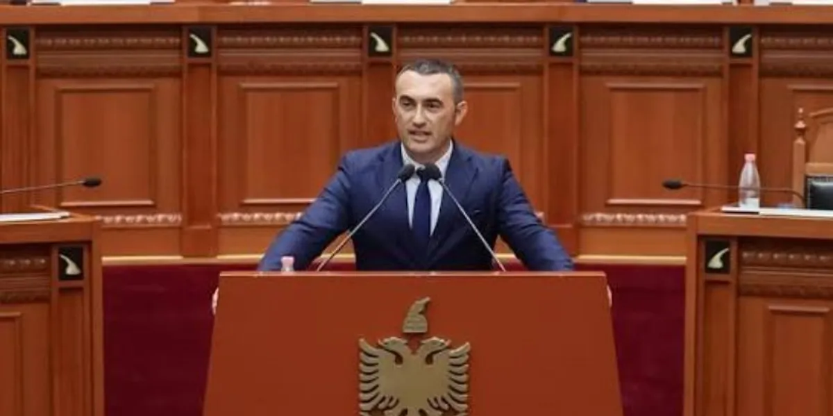 ish-deputeti-i-ps-nato-mund-te-perfshihet-nese-situata-ne-shqiperi-pershkallezohet